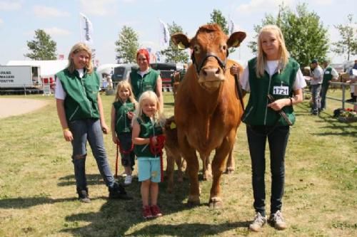 Landsskuet - Alle pigerne fra Charlotte og Rene Westphal Laursen var som altid med på dyrskuet. Fra venstre: Karoline, Karina, Mille, Merle og på den anden side af koen; Camilla