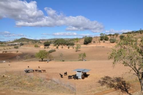 Limousinerejse 2012 - Fra den højtliggende gedefarm var der udsigt til afbidte, tørre marker, som besynderligt nok så smukke ud mod den blå himmel.