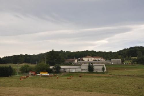 Limousinerejse 2012 - Hos Joël Venturin i Caumon så vi – tror vi nok – en meget almindelig fransk produktionsbesætning. Her var der 78 hektar og 48 moderdyr.