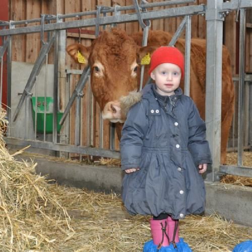 Lillian og Harry Lovring - Lille Inger er dog ikke helt stolt ved at være tæt på de store limousiner