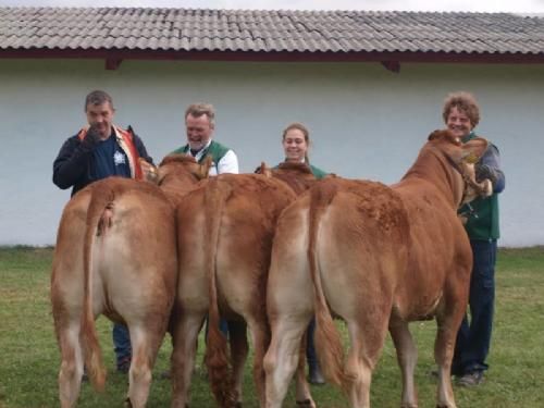 Odense dyrskue - Kvier 1¼-1½ år 23 point: Familien Mikkelsen, Kirkendrup ærespræmie. bedste limousine hundyr.