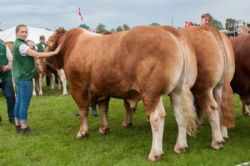 Østjyske Dyrskue Horsens - Farvel og tak fra Horsens Dyrskue 2019