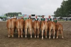 Ærespræmiedyr - 3. Bedste Besætningsgruppe. Ejer: Søren Hedegaard Jensen.