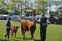 Roskilde dyrskue 2017 stemningsbilleder - I ringen