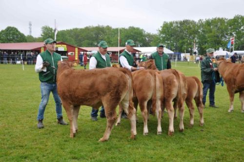 Roskilde dyrskue stemning - Her 2 hold kvier. Kvier 5-10 mdr, fløj til Jonas Henriksen. Kvier 12-15 mdr med 1 kvie i holdet gav fløj til Jan Henning Henriksen