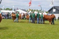 Roskilde dyrskue stemning - Så kom solen endelig!