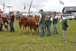 Roskilde dyrskue stemning - Der stilles op til interbreed for besætninger