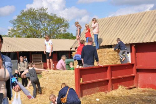 Roskilde dyrskue stemning - En halmbunke er altid en god legeplads. Roskilde dyrskue slog i år rekord med besøgstal på over 113.000. Tak for et godt Roskilde Dyrskue 2019!