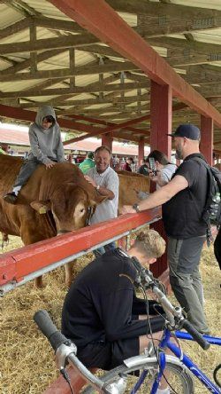 Roskilde dyrskue stemning - billede 1
