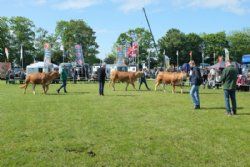 Roskilde dyrskue stemning - billede 6