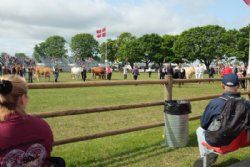 Roskilde dyrskue stemning - billede 15