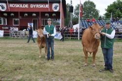 Roskilde Dyrskue Stemningsbilleder - Limousine kom hjem med en flot 2. og 3. plads til hhv. Jimmy og Jens Peter.