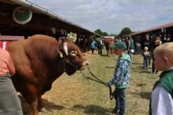 Roskilde Dyrskue Stemningsbilleder - Hold lige tyren, Oliver!