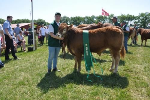 Roskilde dyrskue - Løserupgård Kilde. Bedste yngre tyr 23 point. Ejer Jacob og Hans Kjeld Hansen