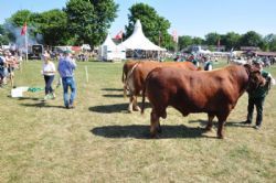 Roskilde dyrskue - De tunge drenges tur