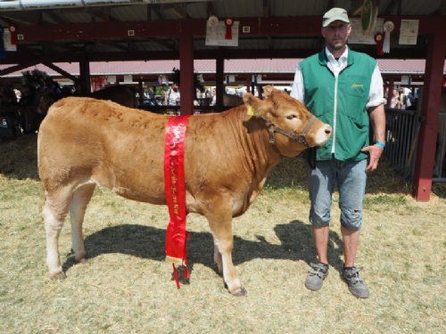 Roskilde dyrskue - 62437-01778 efter Loustic MN fra Jakob Sandholm Hansen, Løserup. Bedste yngre kvie, 23 point og ærespræmie