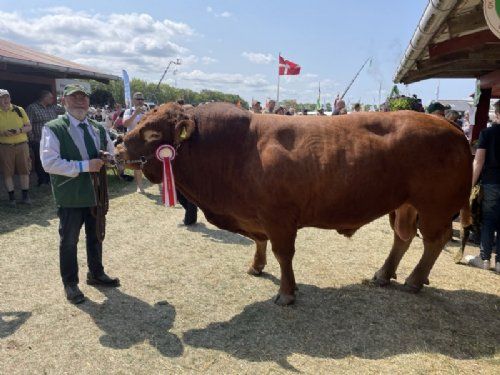 Roskilde dyrskue - Grønbjerg P Maximum efter Gagarine fra Nygaard og Toftegaard, Brorfelde. 23 point og ærespræmie