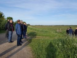 Sommermøde område Midt - Der blev også mulighed for at nyde den flotte udsigt over Skjern Enge.