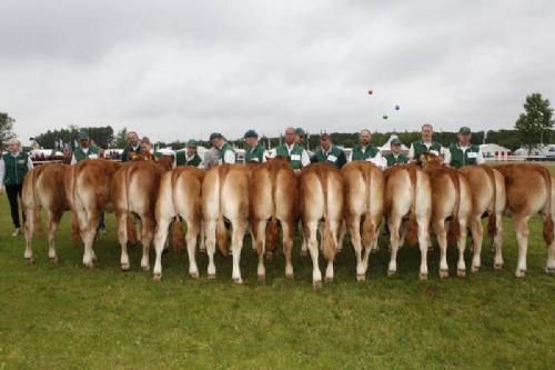 Stemning torsdag 1 - Kvier 8-10 mdr. Fløj til Arden Helene fra Charlotte og René Westphal Laursen.