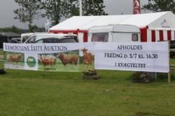 Stemning torsdag 1 - Reklame for Limousine Auktionen.