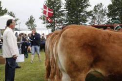 Stemning torsdag 1 - Tænksom dommer.