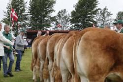 Stemning torsdag 1 - Dyrskuestemning.