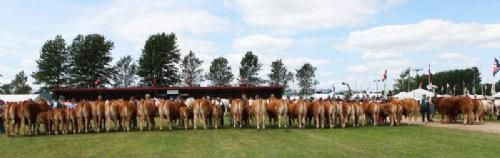 Stemning lørdag - Slut på endnu et dejligt dyrskue på Landsskuet. Vi vender tilbage med fuld kraft i 2014.