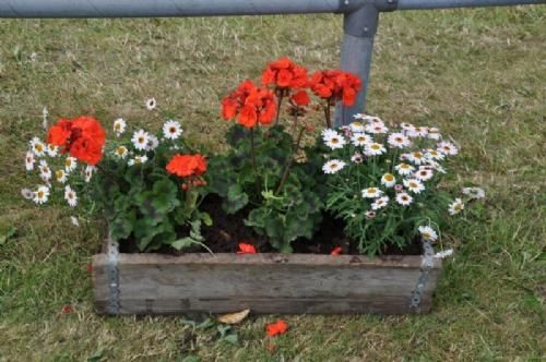 Stemningsbilleder  - Slut på Landskuet 2014. Var der mon nogen, der lagde mærke til blomsterdekorationerne?? Fotografen gjorde ;-) 