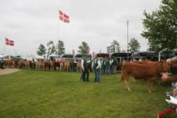 Stemningsbilleder 1 - Dyrskuestemning.