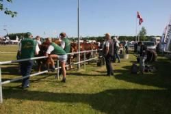 Stemningsbilleder 1 - Bedømmelsen tager sin begyndelse.