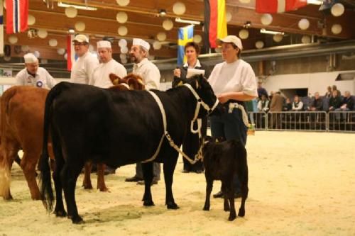 Stemningsbilleder 1 - Et andet sted i ringen fangede denne lille 