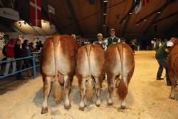 Stemningsbilleder 2 - Gruppen fra Sofiedal Limousine v. Helle og Flemming Jensen.