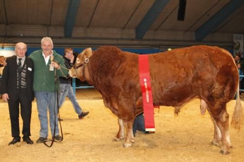 Stemningsbilleder 2 - Her blev vinderen Søgårds Eli fra Sofiedal Limousine v. Helle og Flemming Jensen.