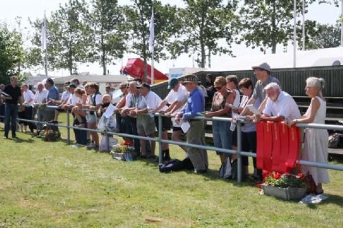 Stemningsbilleder 2 - Der var god mulighed for at nyde solen på Landsskuet! Solen bagte stort set alle tre dage ned på både tilskuer, dyr og udstillere