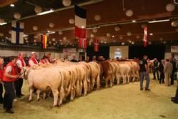 Stemningsbilleder 2 - Interbreed for par