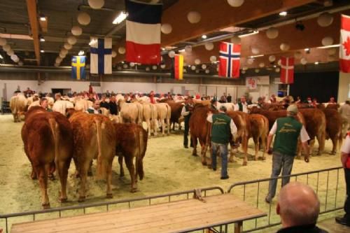 Stemningsbilleder 2 - Interbreed for besætninger. Limousine havde afviklet sin interne konkurrence, det havde de andre racer ikke, så de stillede med de besætninger de kunne