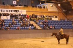 Stemningsbilleder 2 - Cowboy-Mogens klar med sit lille show.