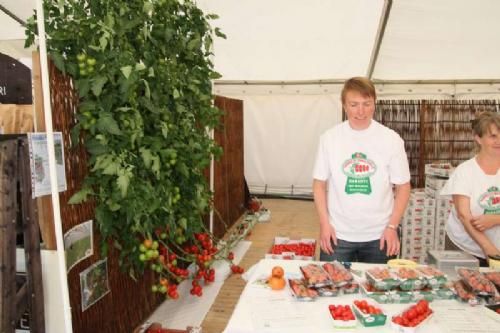 Stemningsbilleder - Det kan være besværligt at slæbe dyr med på et syrskue, men mon ikke også det har været besværligt at få disse gigantiske tomatplanter slæbt med - uden at det hele faldt fra hinanden!