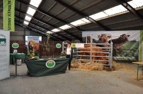 Stemningsbilleder - Niels og Birgit Hansen havde en ko med til udstilling i oplevelseshallen. Ved siden af var de repræsentanter for de øvrige kødracer og fortalte om dyrevelfærd og smagfuld kvalitet.