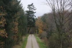 Stemningsbilleder - Eftermiddagen bød på bustur i Thy Nationalpark