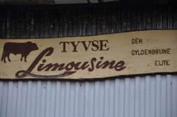 Stemningsbilleder - Farvel til Tyvse Limousine og og hans gyldenbrune elite