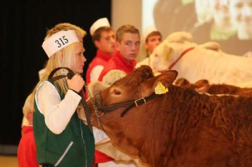 Stemningsbilleder - Vinder blandt juniorerne blev en Charolais-udstiller mens Camilla Laursen fik en flot andenplads!