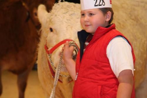 Stemningsbilleder - Denne lille purk har vi før set med en Charolais ved hånden. Og han ved hvordan man skal smile til dommeren - for det er nemlig også vigtigt i denne konkurrence