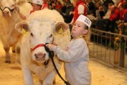 Stemningsbilleder - ...men det kan være lidt svært af være lille ved siden af en stor Charolais-kvie