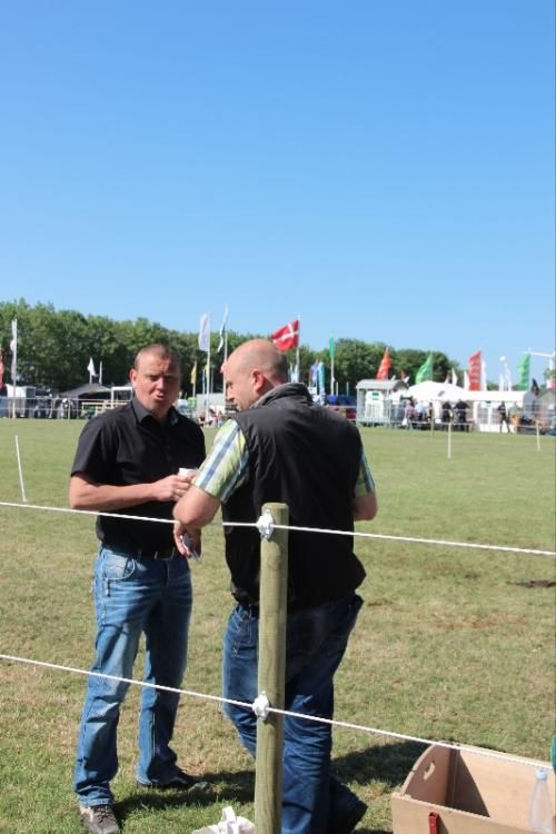 Stemningsbilleder - Pause mellem bedømmelserne. Freddy Christiansen var dommer, assisteret af Allan Kragh