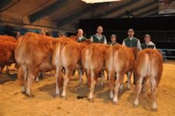 Stemningsbilleder & konkurrencer fredag - Gruppe fra Karensminde Limousine v/ Søren Hedegaard Jensen