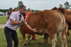 Stemningsbilleder - Benoit Souvignet forklarede hvordan en vinderko skal se ud