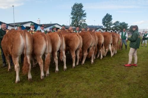 Stemningsbilleder - Den franske dommer, Jeanne Orlianges, startede ud i fine, men upraktiske damesko, som dog hurtigt blev skiftet ud med de iøjnefaldende, praktiske, røde galocher.