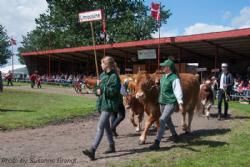 Stemningsbilleder - Interbreed i den store ring lørdag – limousine-fanen holdes højt