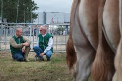 Stemningsbilleder - Avlersnak på indersiden af hegnet 